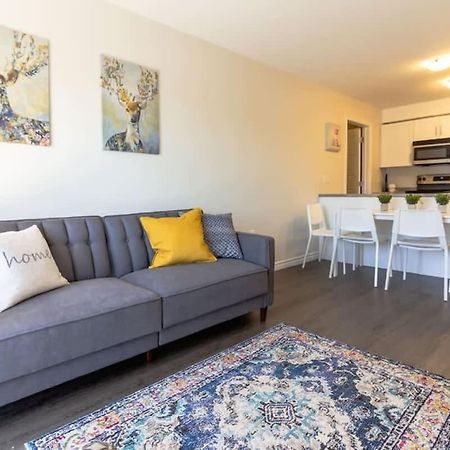 Newly Renovated Modern Condo Near Hospital, Unb Patio & Parking Coffee Saint John Luaran gambar