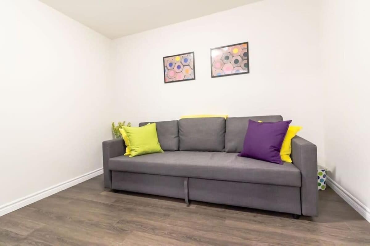 Newly Renovated Modern Condo Near Hospital, Unb Patio & Parking Coffee Saint John Luaran gambar
