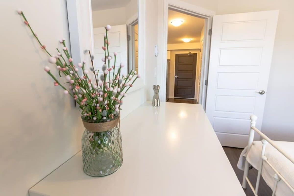 Newly Renovated Modern Condo Near Hospital, Unb Patio & Parking Coffee Saint John Luaran gambar